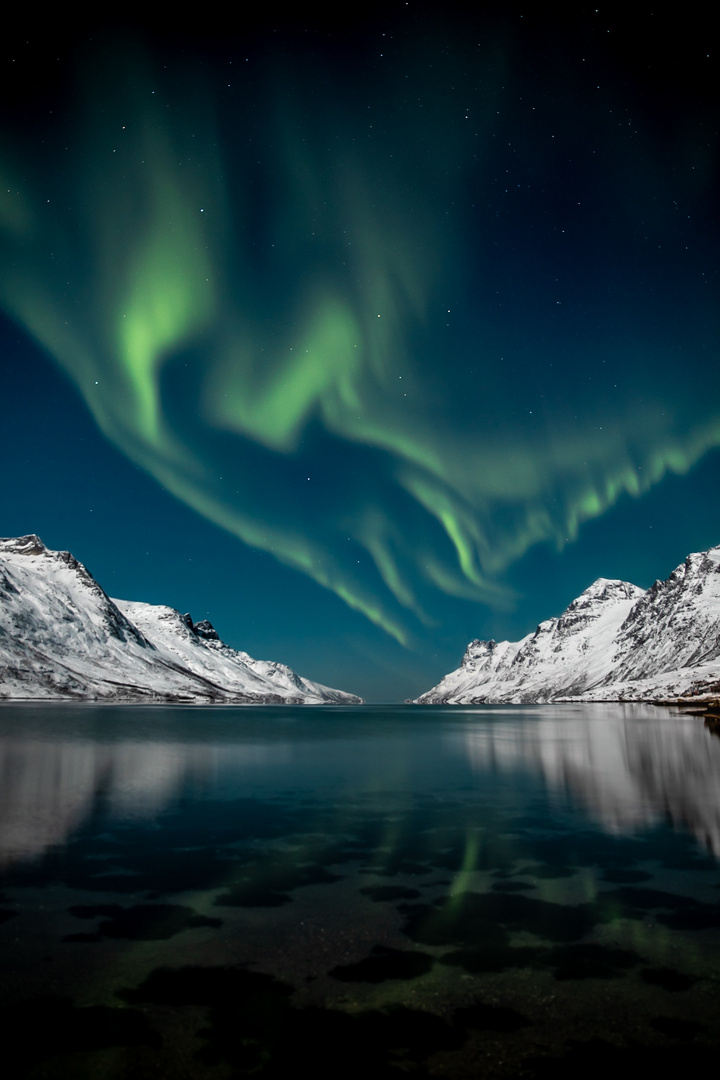 Polarlicht in Nordnorwegen