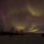Polarlicht in Nordschweden