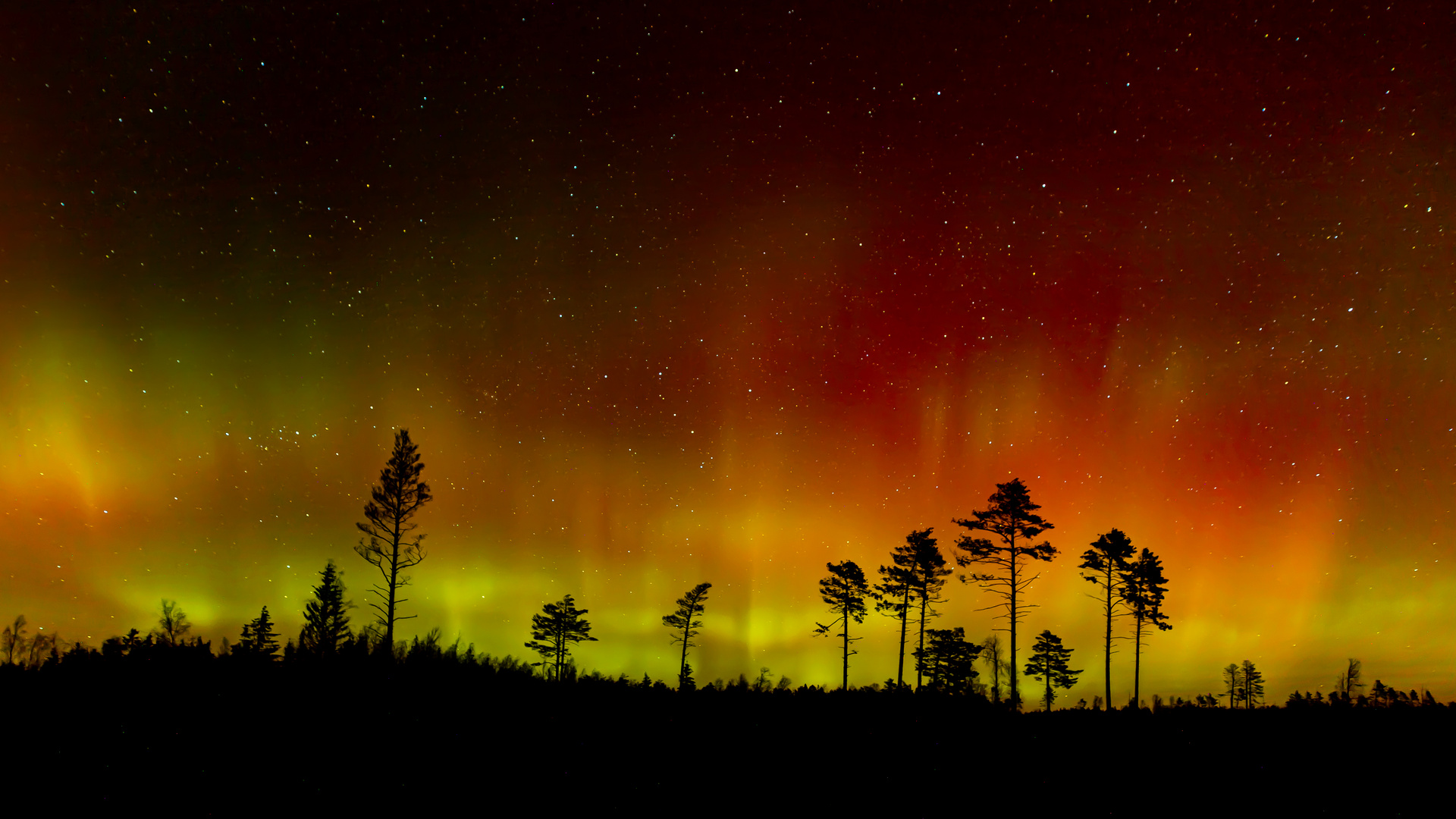 Polarlicht in Småland / Schweden