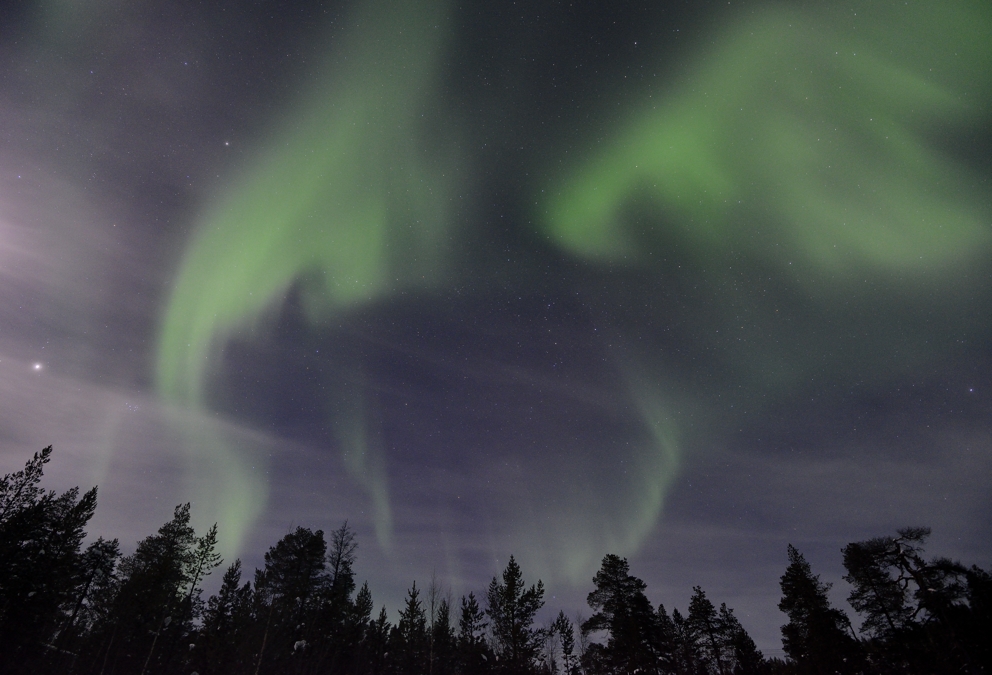 Polarlicht, Lappland im Februar 2013