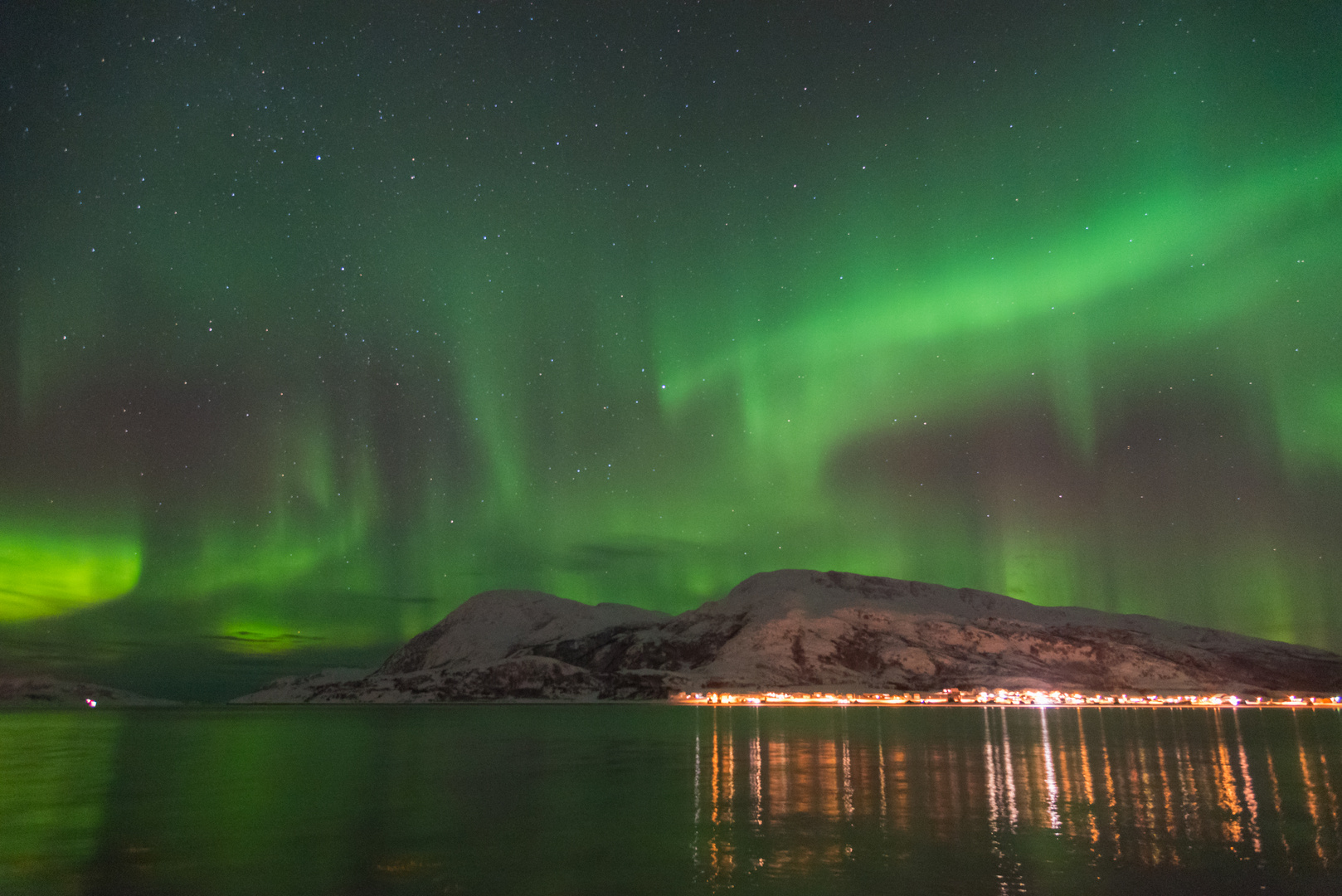 Polarlicht über dem Fjord