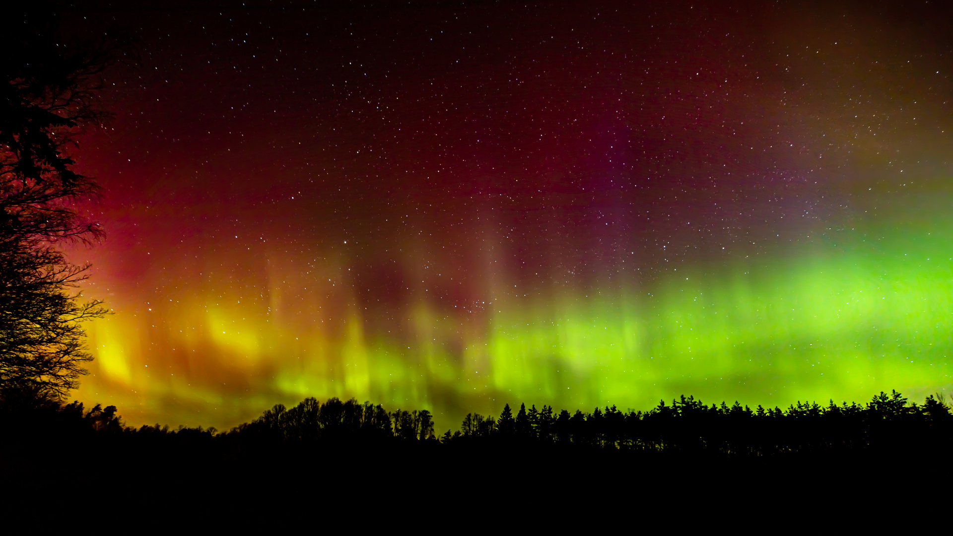 Polarlicht über Småland // Schweden