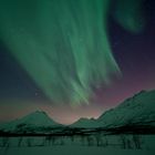Polarlicht über Troms / Norwegen 3
