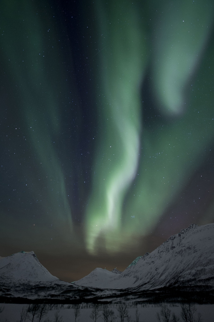 Polarlicht über Troms / Norwegen 4