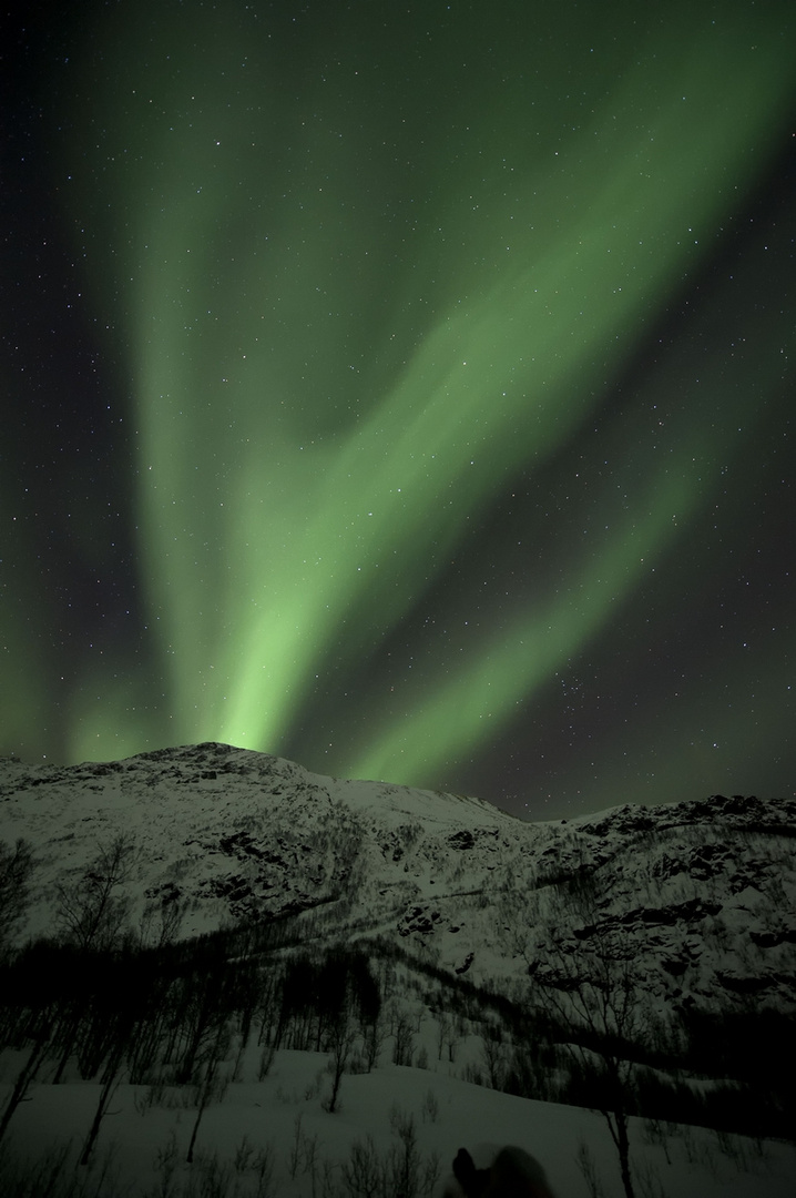 Polarlicht über Troms / Norwegen 5