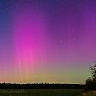 Polarlicht über Wald und Feld in Mecklenburg- Vorpommern