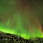 Polarlicht-Vorhang, Norwegen 2014