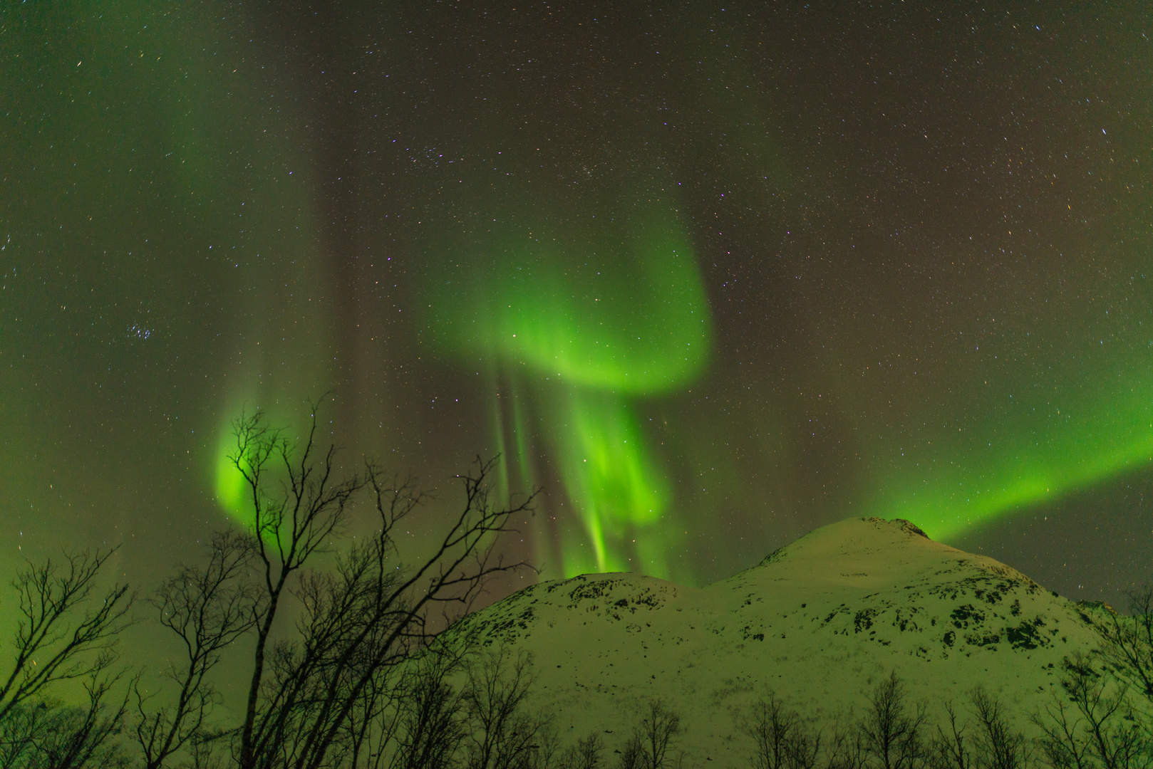 Polarlichter