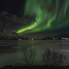 Polarlichter auf den Lofoten