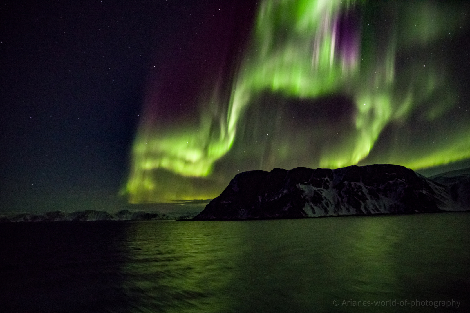 Polarlichter bei Lebesby Norwegen