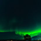 Polarlichter bei Neumond im Altafjord Norwegen 01