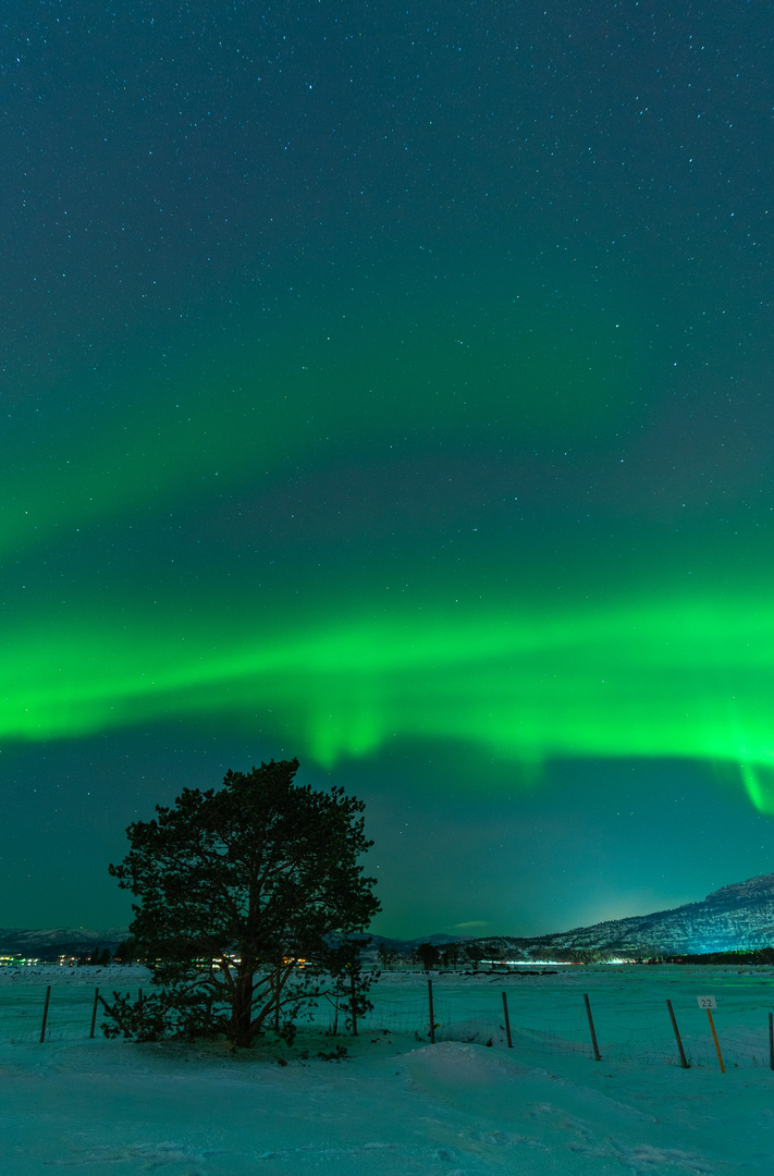 Polarlichter bei Neumond im Altafjord Norwegen 03