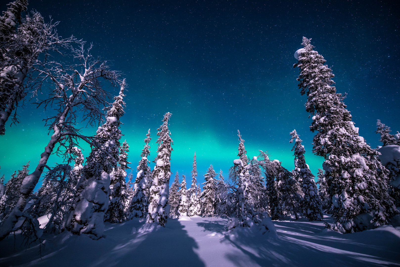 Polarlichter Finnland Urho Kekkonen National Park