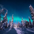 Polarlichter Finnland Urho Kekkonen National Park