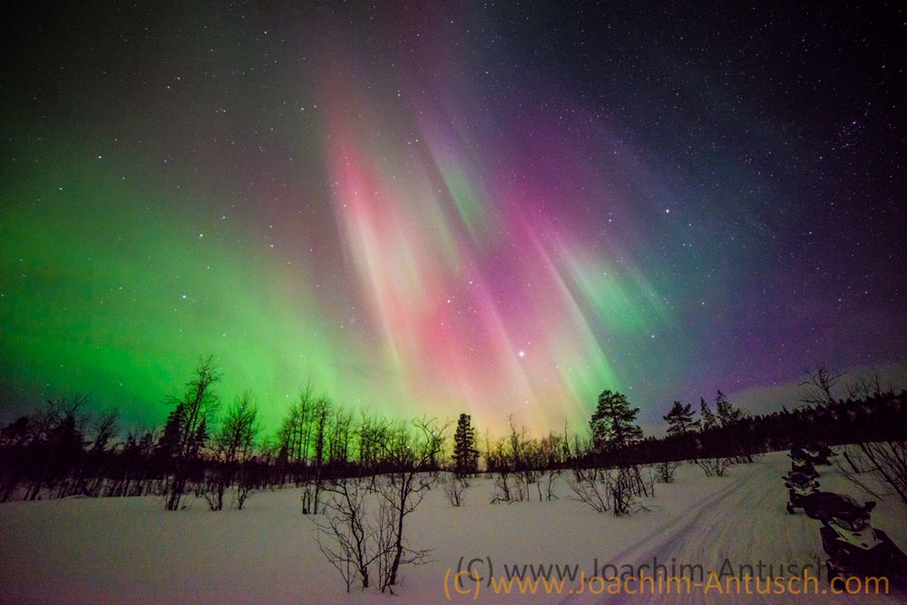 Polarlichter i Lappland