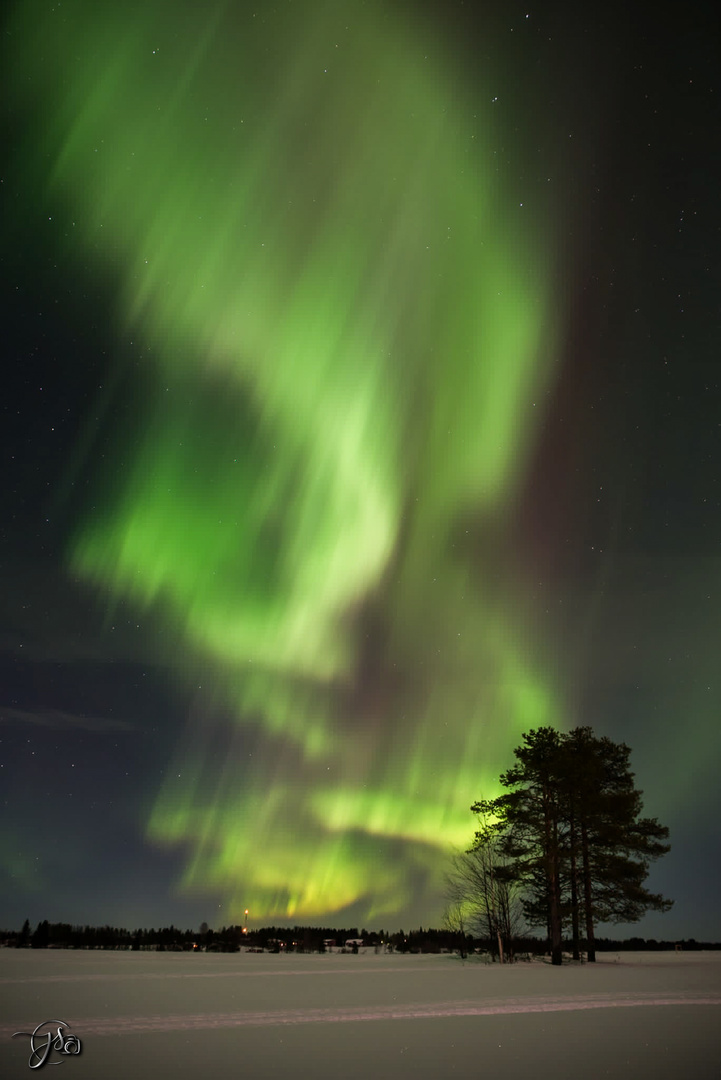 Polarlichter im November