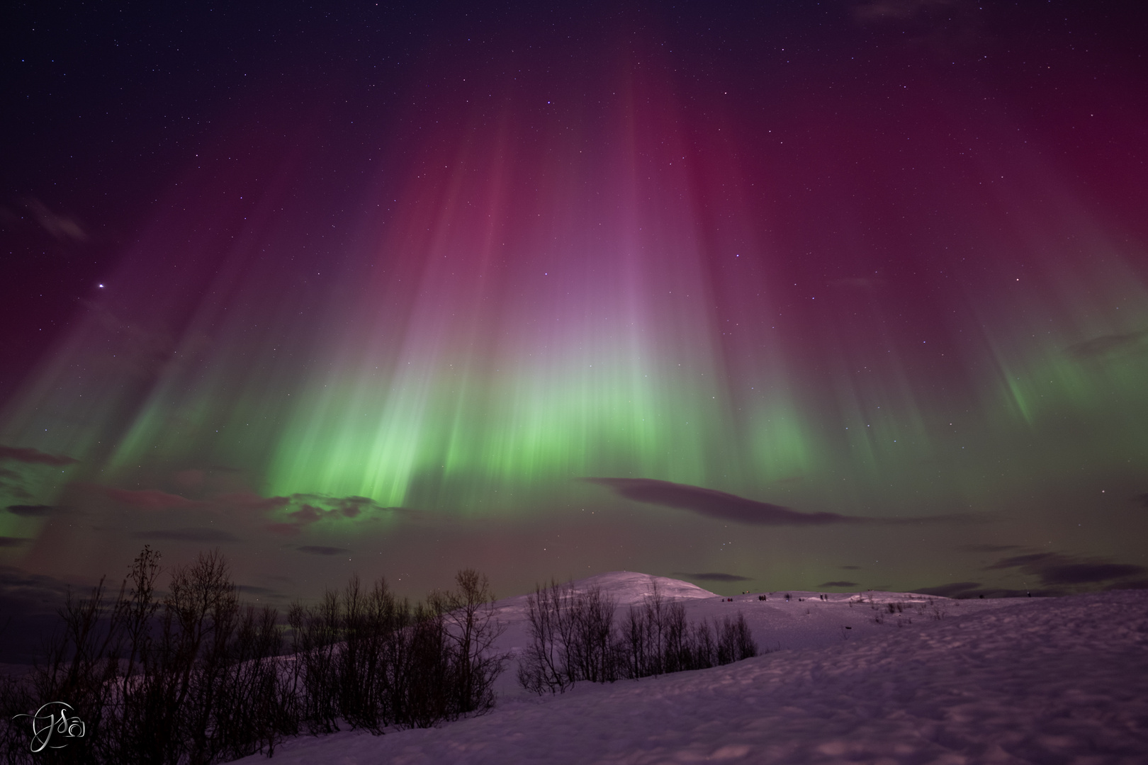 Polarlichter im November