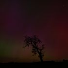 Polarlichter im Taunus