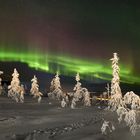 Polarlichter in Lappland