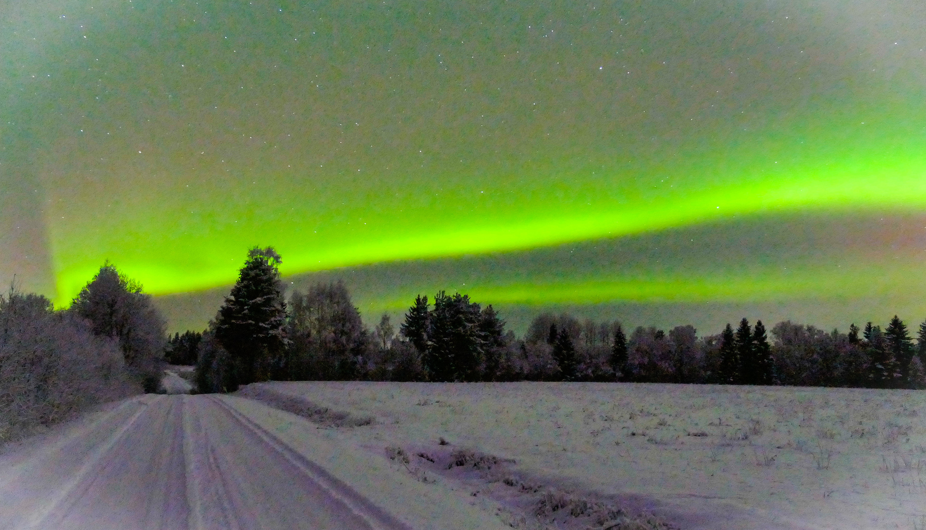 Polarlichter in Nordschweden südlich vom Polarkreis