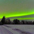 Polarlichter in Nordschweden südlich vom Polarkreis