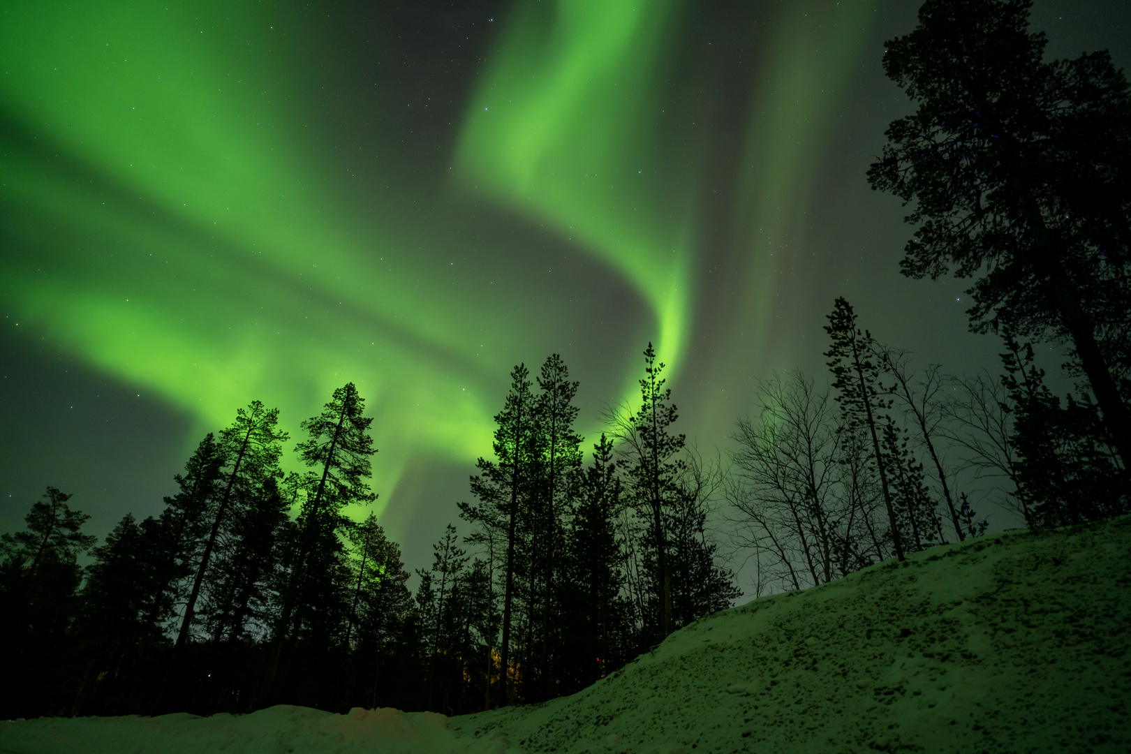 Polarlichter in Schweden