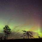 Polarlichter tanzen über einem Moor in Lappland