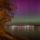 Polarlichter über dem Bodensee