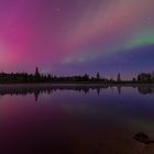 Polarlichter über dem Oderteich