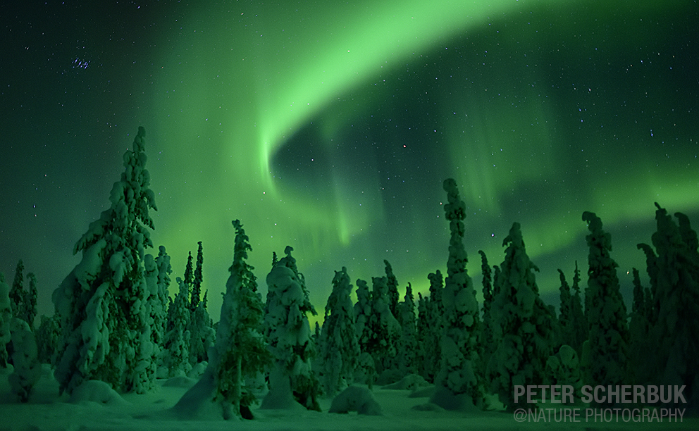 Polarlichter über finnisch Lappland