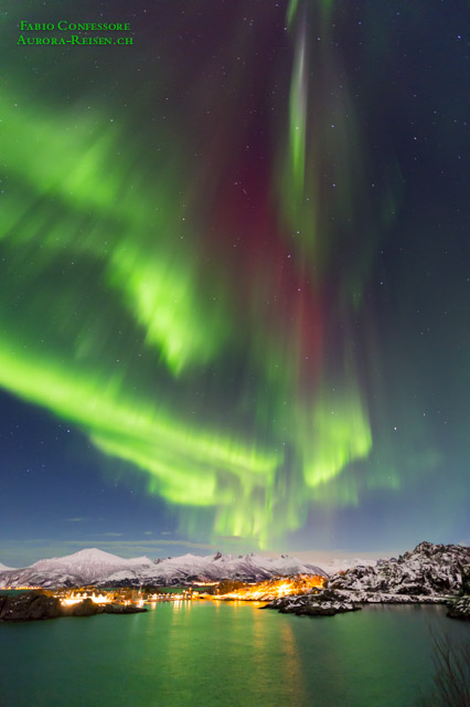 Polarlichter über Hamn i Senja