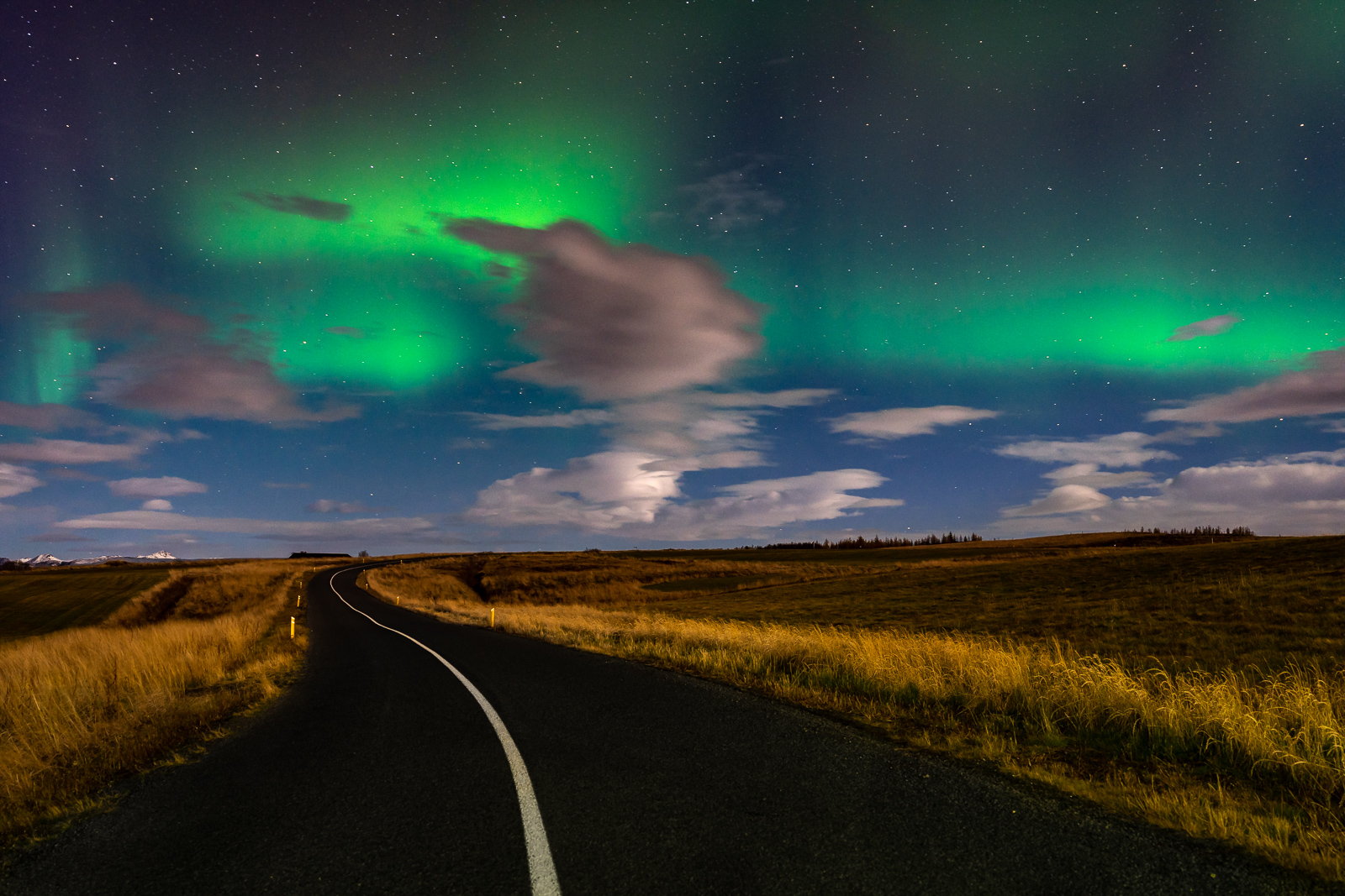 Polarlichter über Islands Straßen