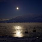 Polarnacht, Adventfjorden, Eisnebel