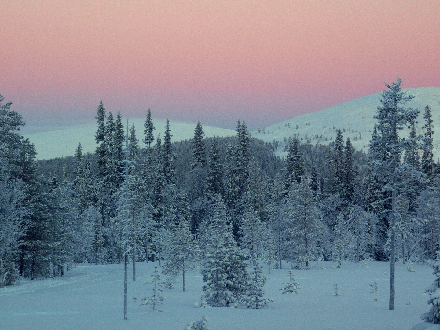 Polarnacht in Lappland 