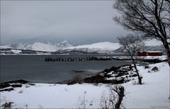 Polarnacht über Kvaløya (2)