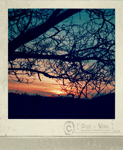 Polaroïde d'un Crépuscule