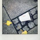 Polaroid 02