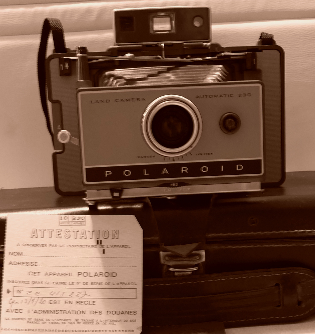 Polaroid 230