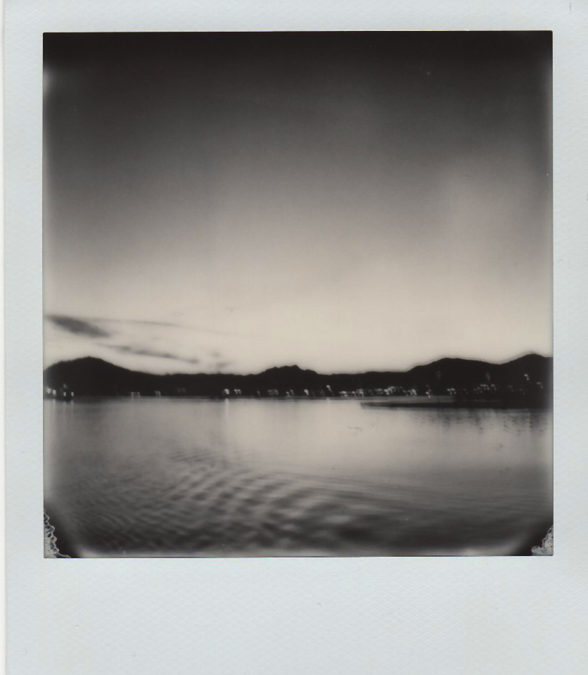 #polaroid 450