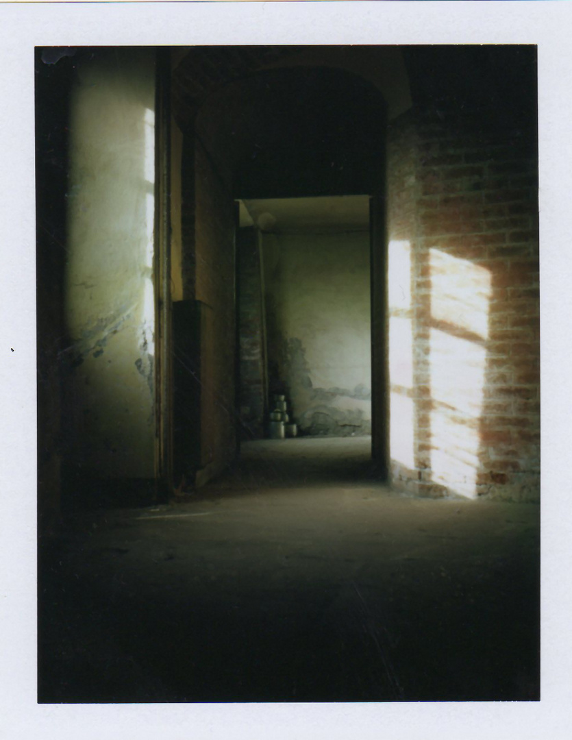 Polaroid 450