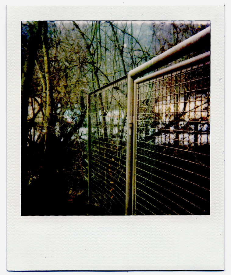 polaroid_: