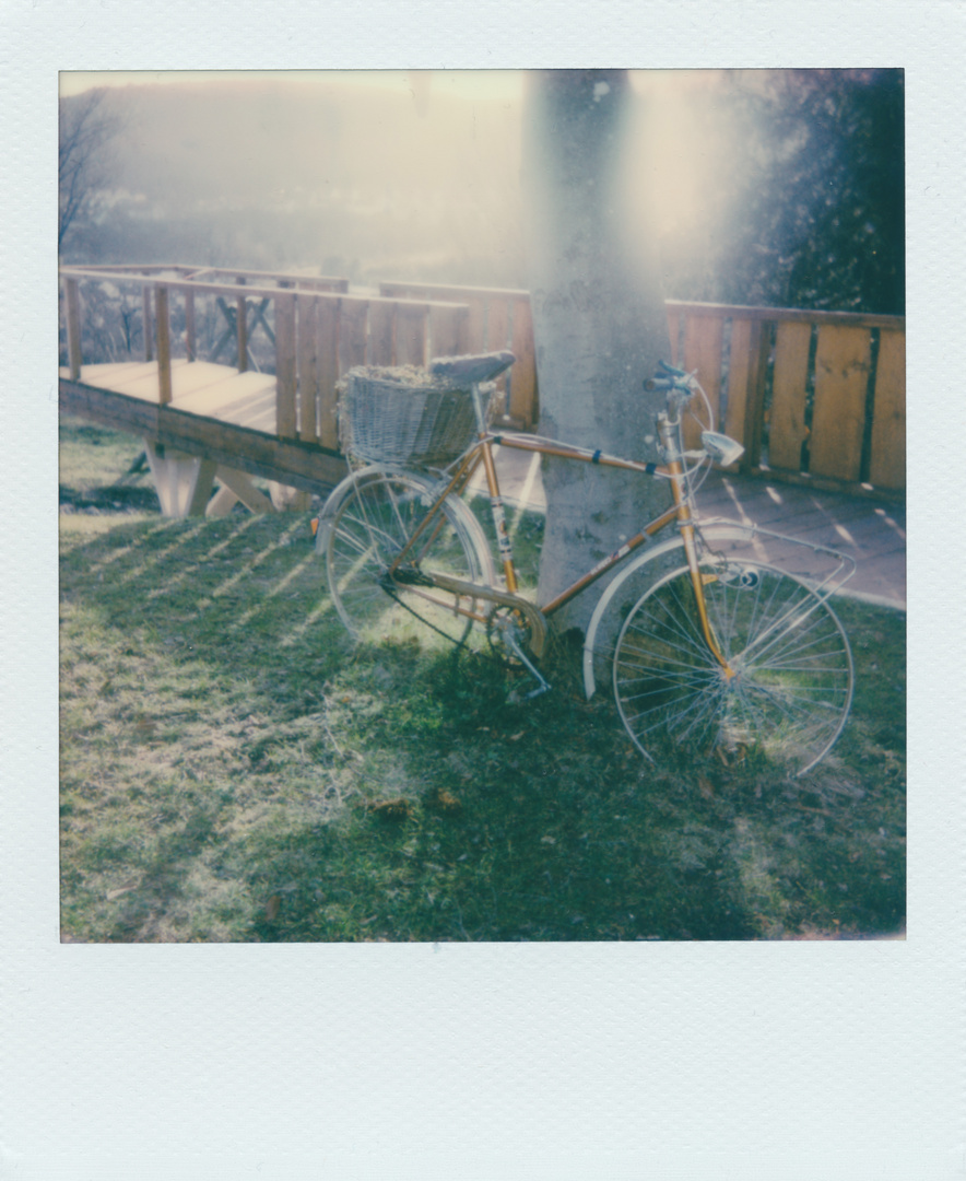 Polaroid 600