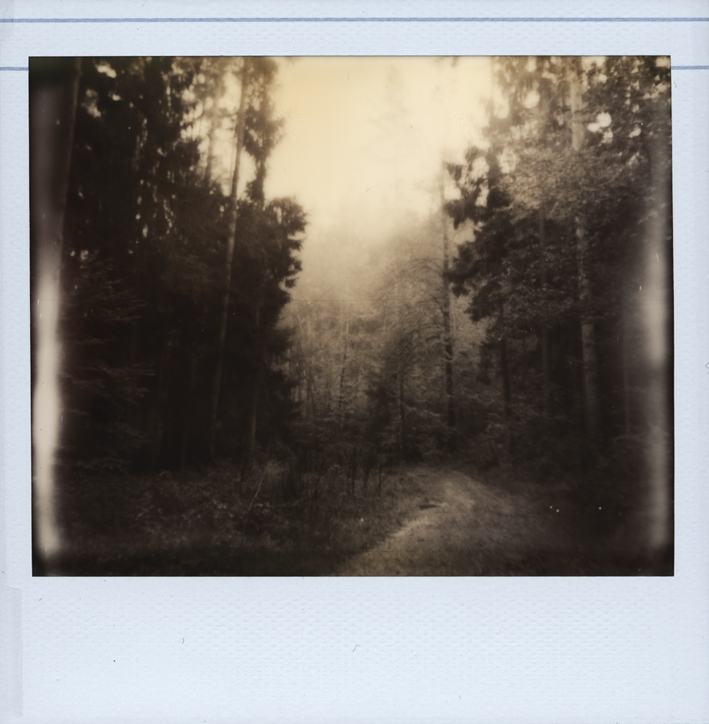 Polaroid: Herbst