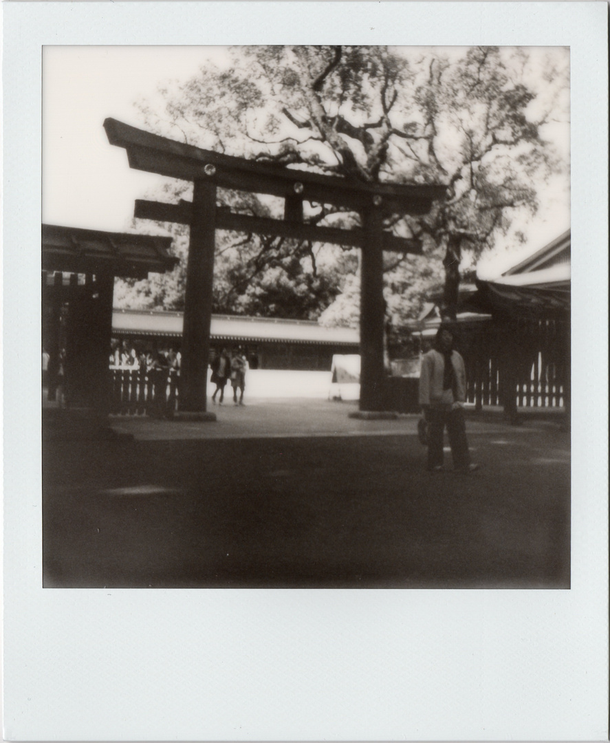 Polaroid in Japan IV