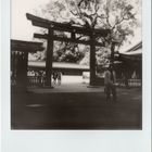 Polaroid in Japan IV