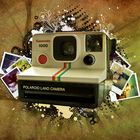 Polaroid Invasion