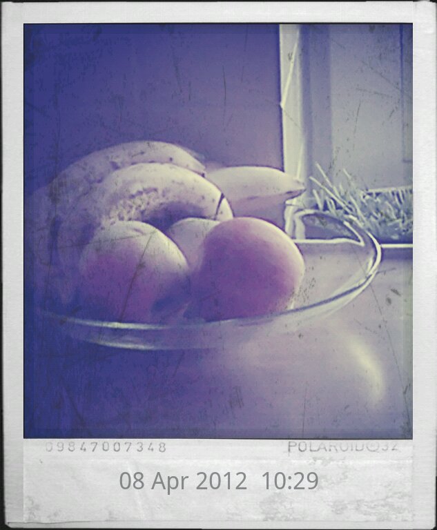 Polaroid Stillife