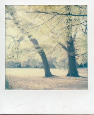 POLAROID027