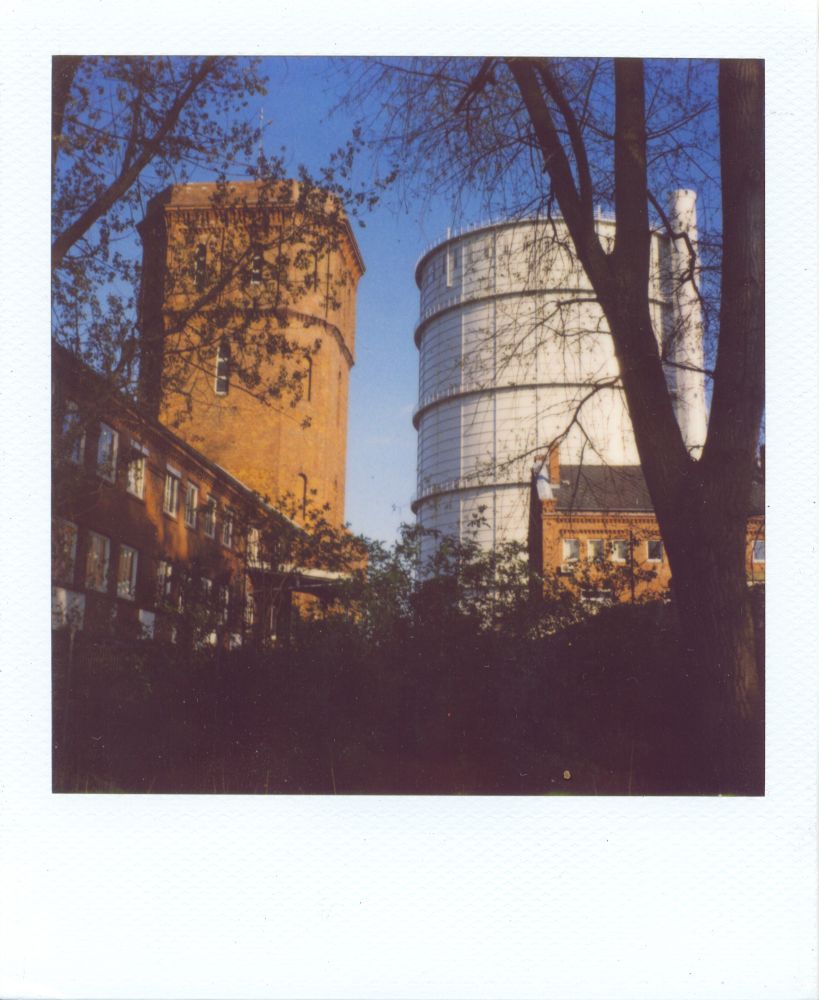 polaroid1