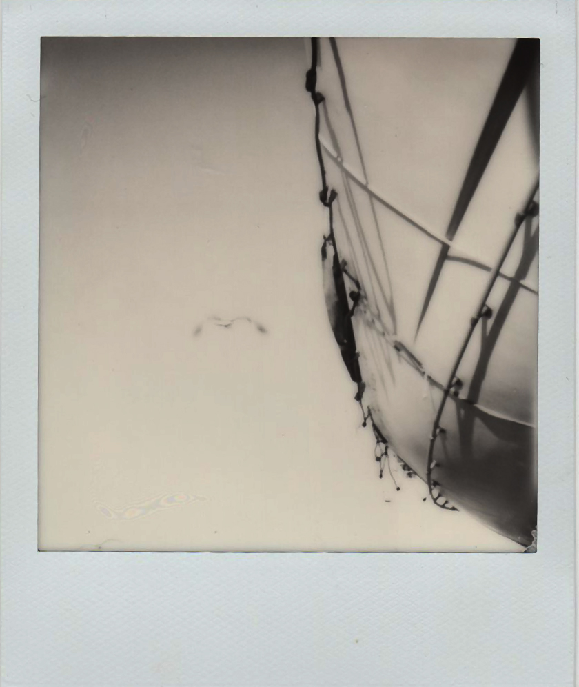 #polaroid_sx70